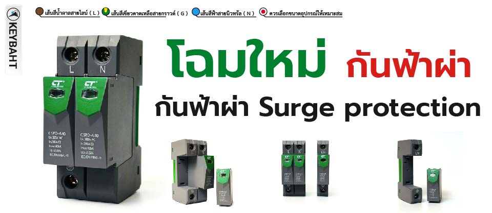 ตัวกันฟ้าผ่า(Surge Protection) คืออะไร?